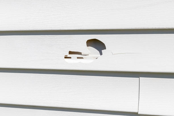 Affordable Siding Repair and Maintenance Services in Middlebush, NJ